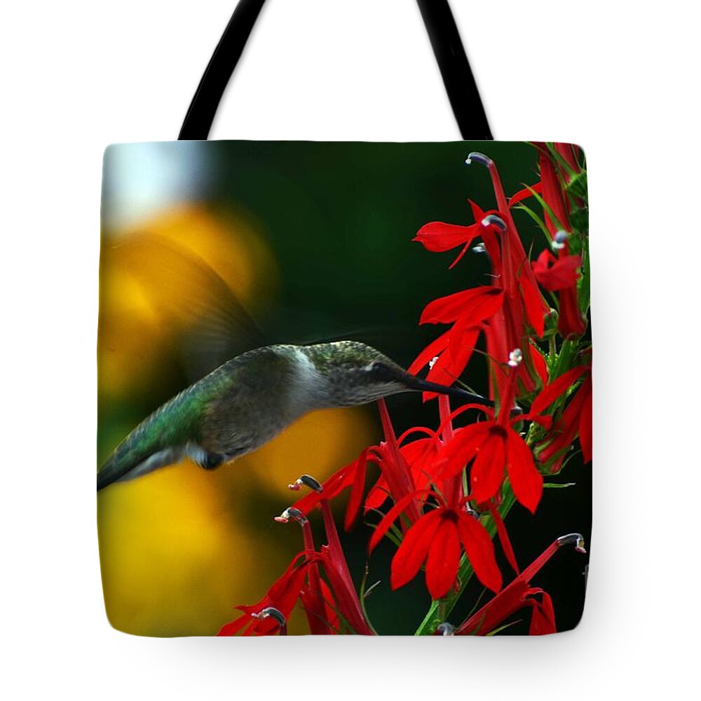 Hummingbird Tote Bag featuring the photograph Boy Am I Hungry by Judy Wolinsky