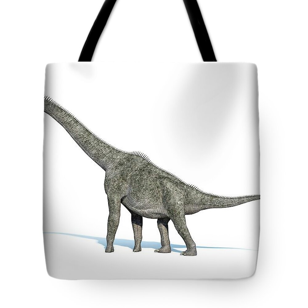 Long Tote Bag featuring the digital art Brachiosaurus Dinosaur, Artwork by Leonello Calvetti