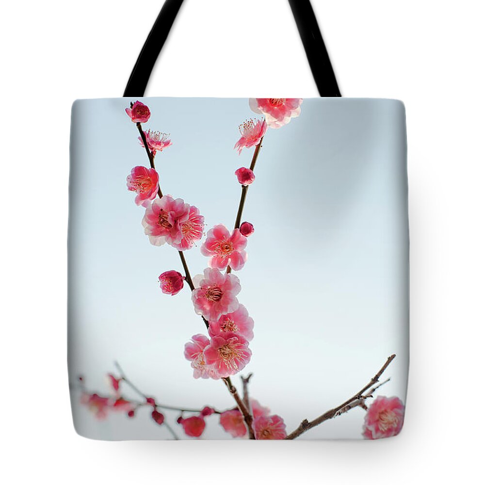 Petal Tote Bag featuring the photograph Branch Of Plum by Toshiro Shimada