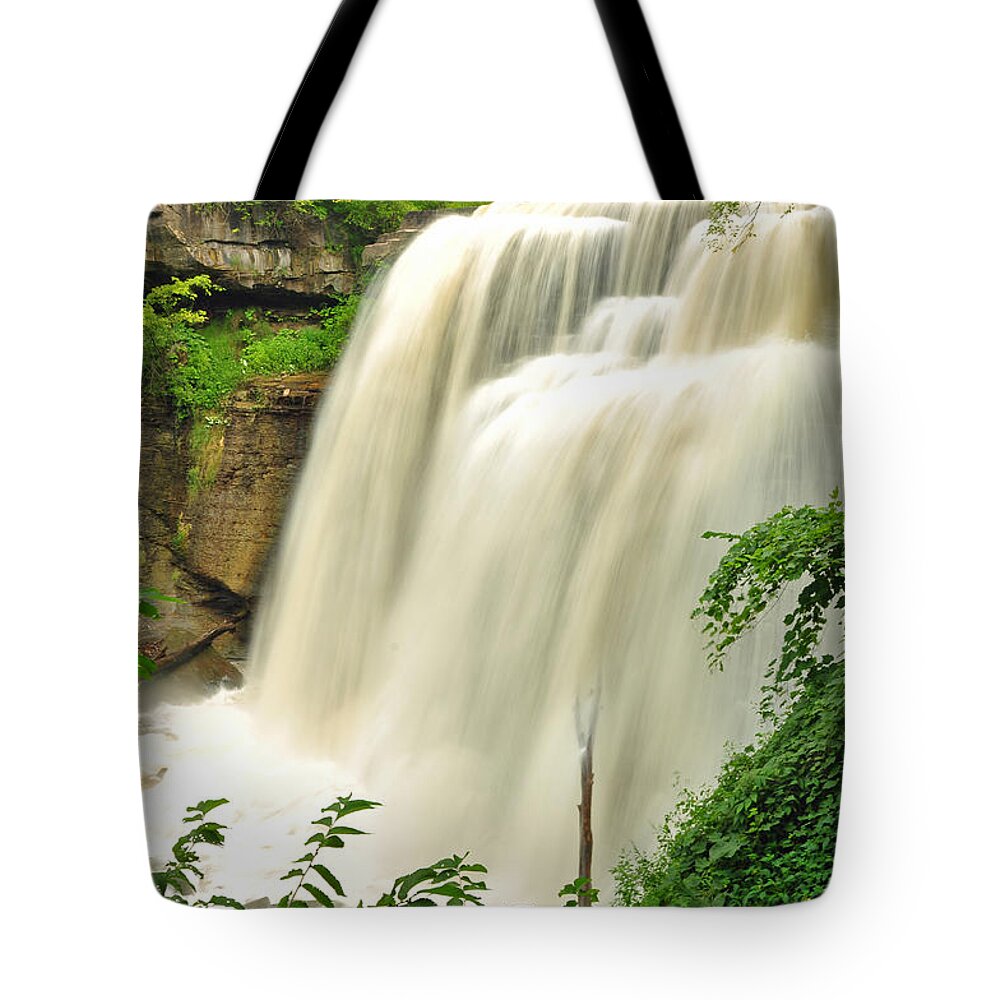 Brandywine Falls Tote Bag featuring the photograph Brandywine Falls by Georgia Clare