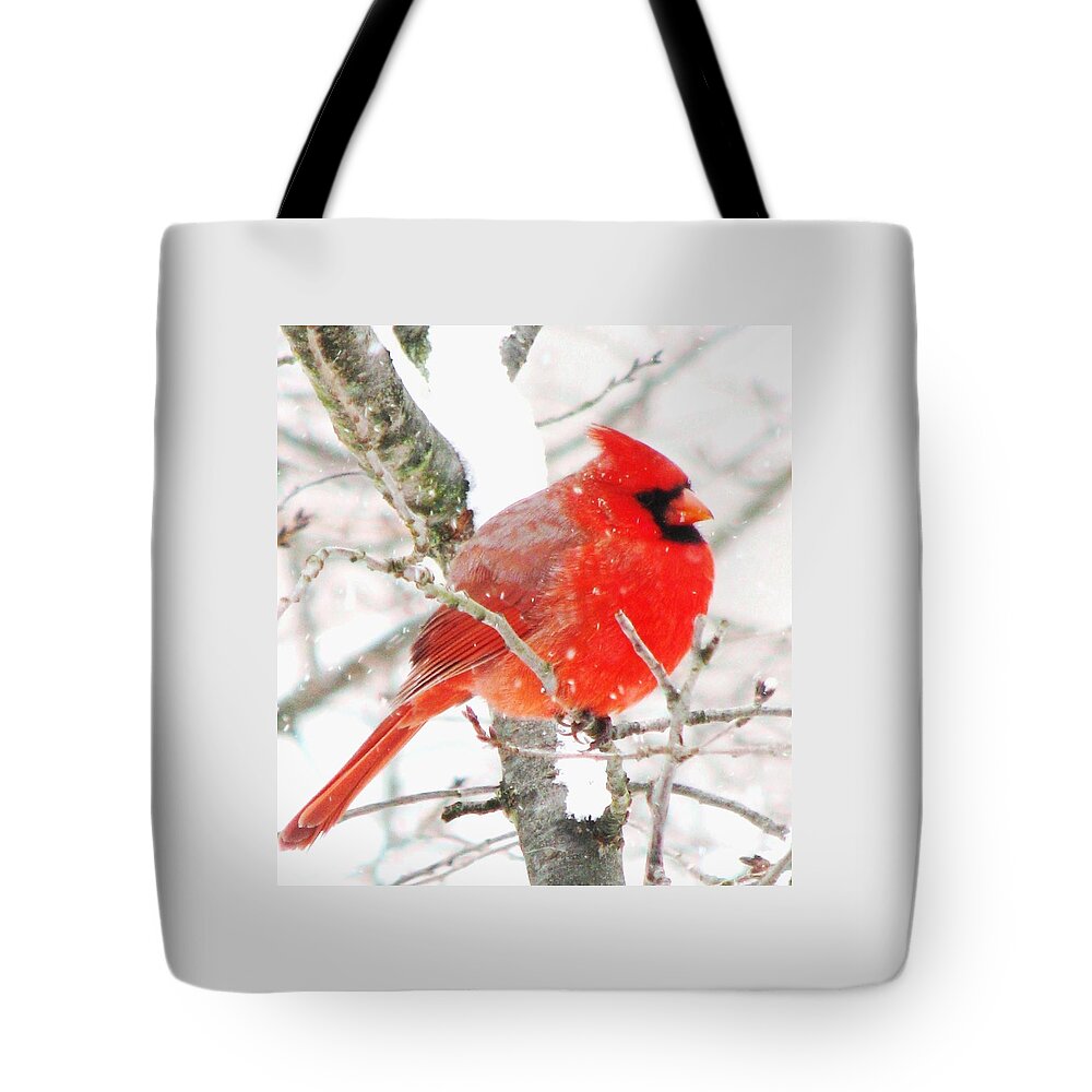 Cardinals Tote Bag featuring the photograph Braving The Storm by Angela Davies