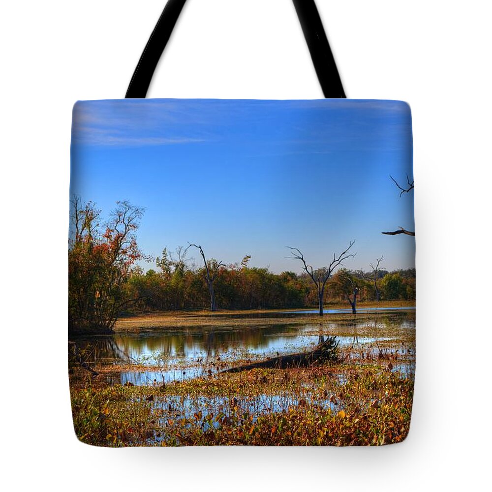 Swamp Tote Bag featuring the photograph Brazos Bend Swamp by David Morefield