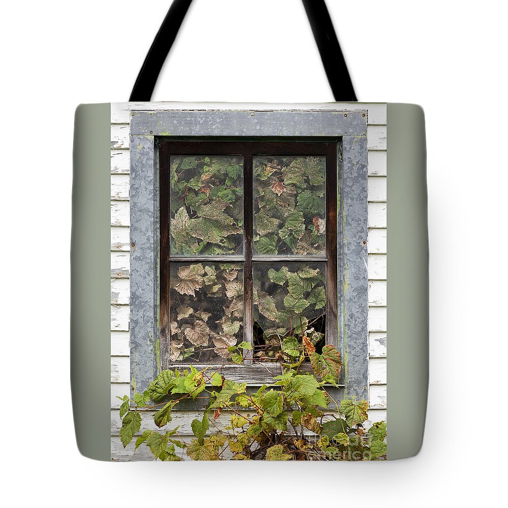 Window Tote Bag featuring the photograph Breaking And Entering by Alan L Graham