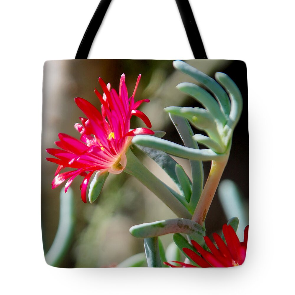 Las Palmas Tote Bag featuring the photograph Bright Pink Flower by Tracy Winter