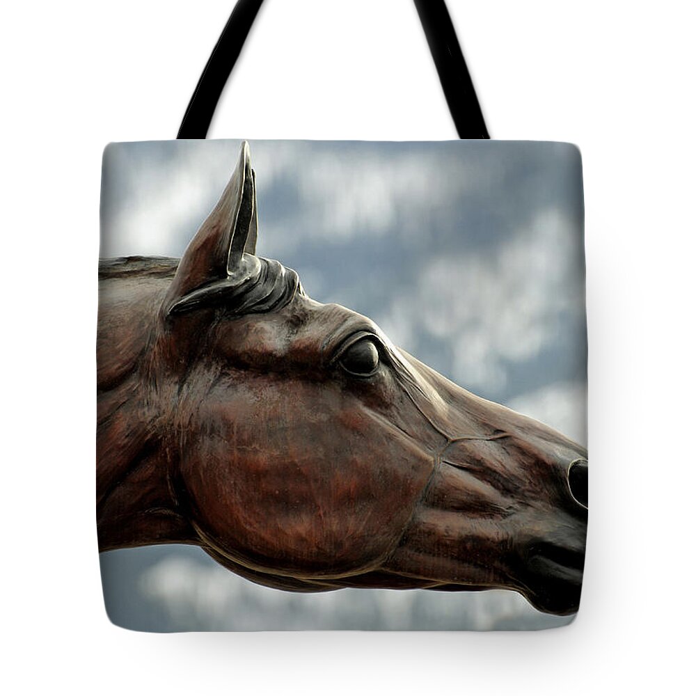 Art Galleries Tote Bag featuring the photograph Bronze Stallion, Joseph Oregon by Theodore Clutter