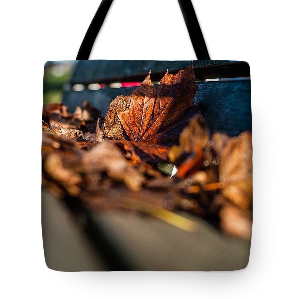 Irish Tote Bag featuring the photograph Bronzed by Aleck Cartwright