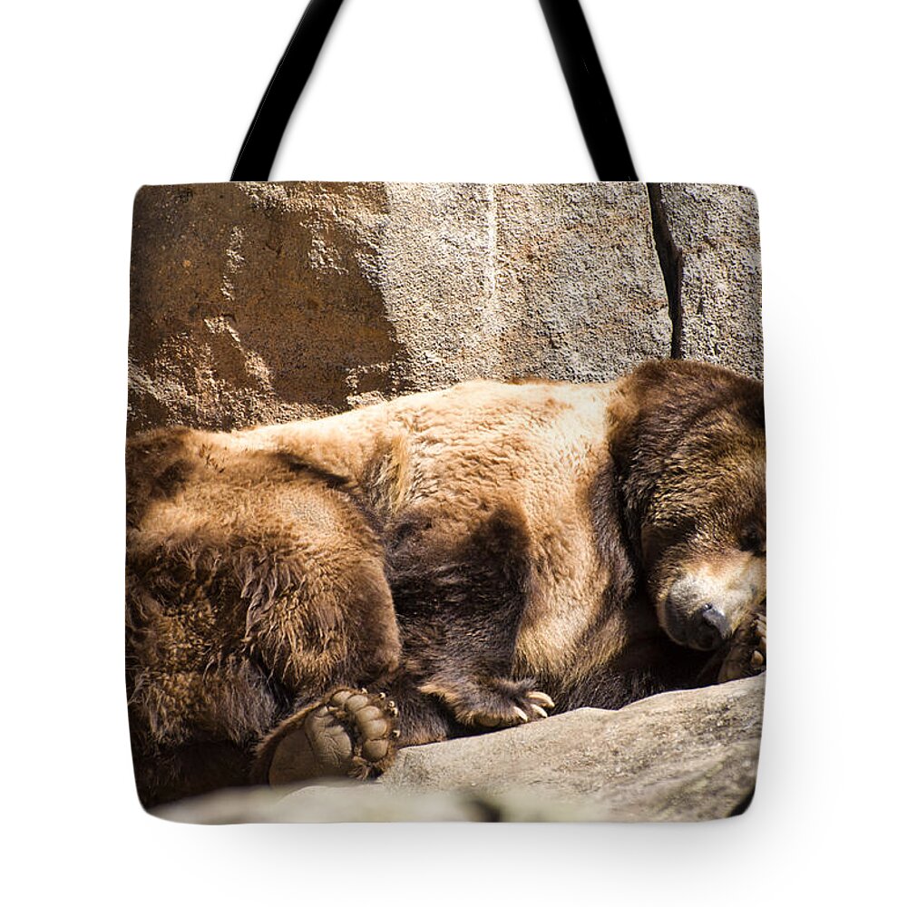 Brown Bear Tote Bag featuring the photograph Brown bear asleep again by Flees Photos