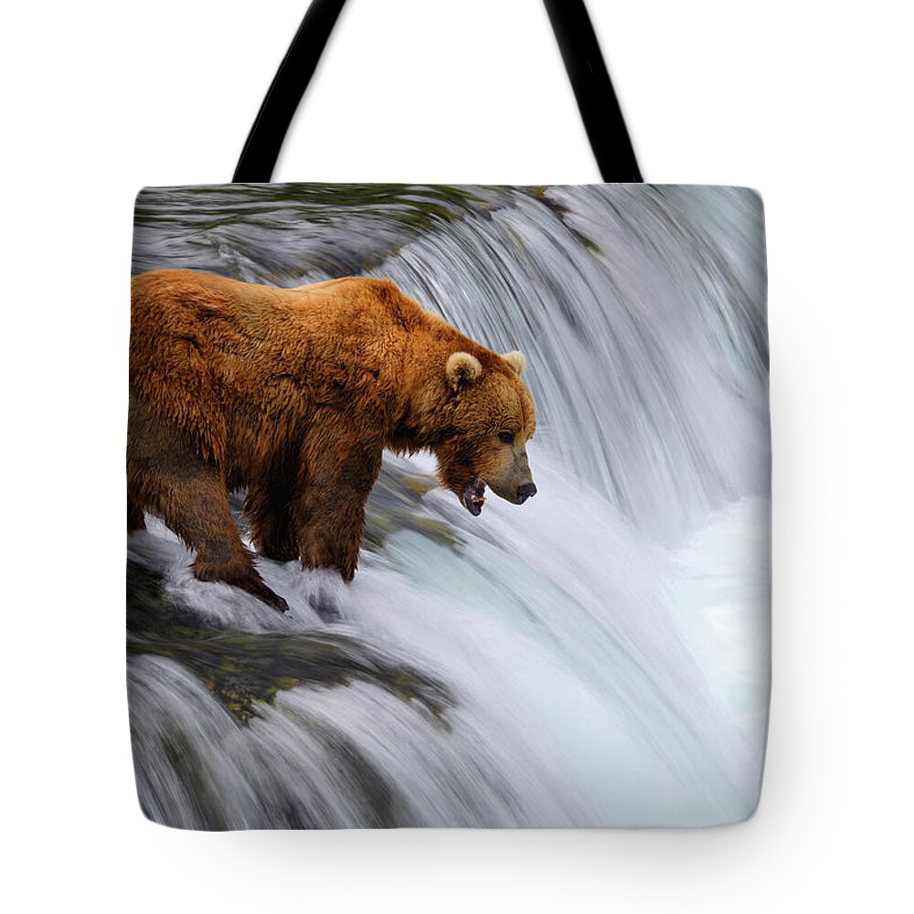 Brown Bear Tote Bag featuring the photograph Brown Bear At Brooks Falls by Naphat Photography