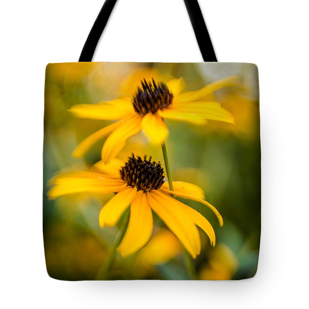 Flower Tote Bag featuring the photograph Brown-Eyed Girls by Pamela Taylor