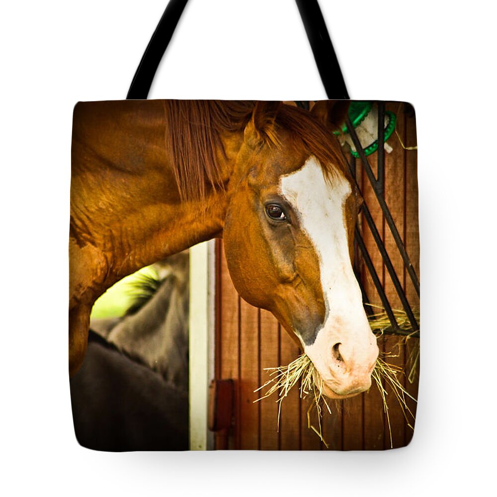 Equine Photographs Tote Bag featuring the photograph Brown Horse by Joann Copeland-Paul