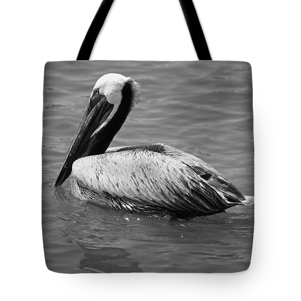 Pelican Tote Bag featuring the photograph Brown Pelican - Black and White by Suzanne Gaff