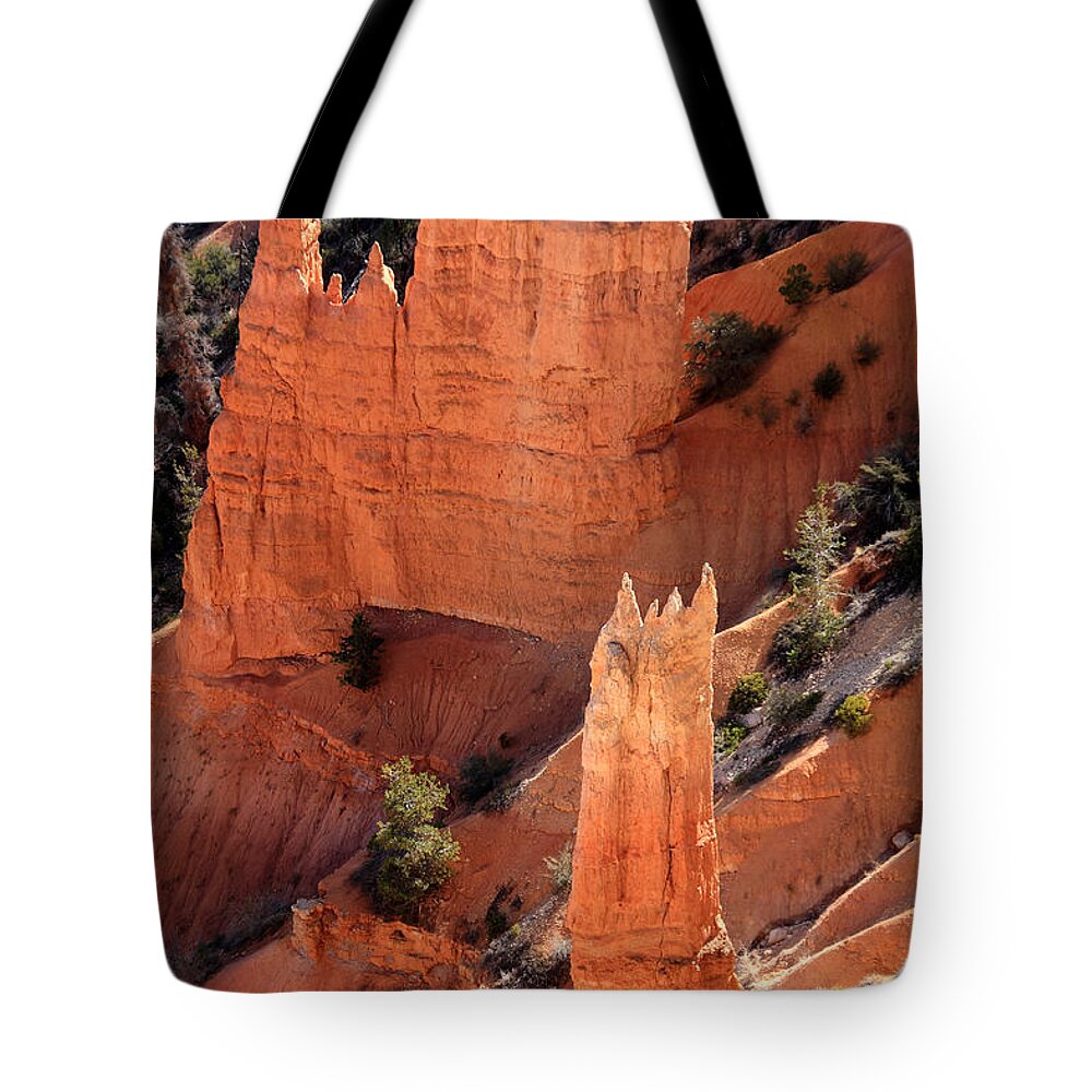 Aidan Moran Tote Bag featuring the photograph Bryce Canyon National Park - Utah - North America by Aidan Moran