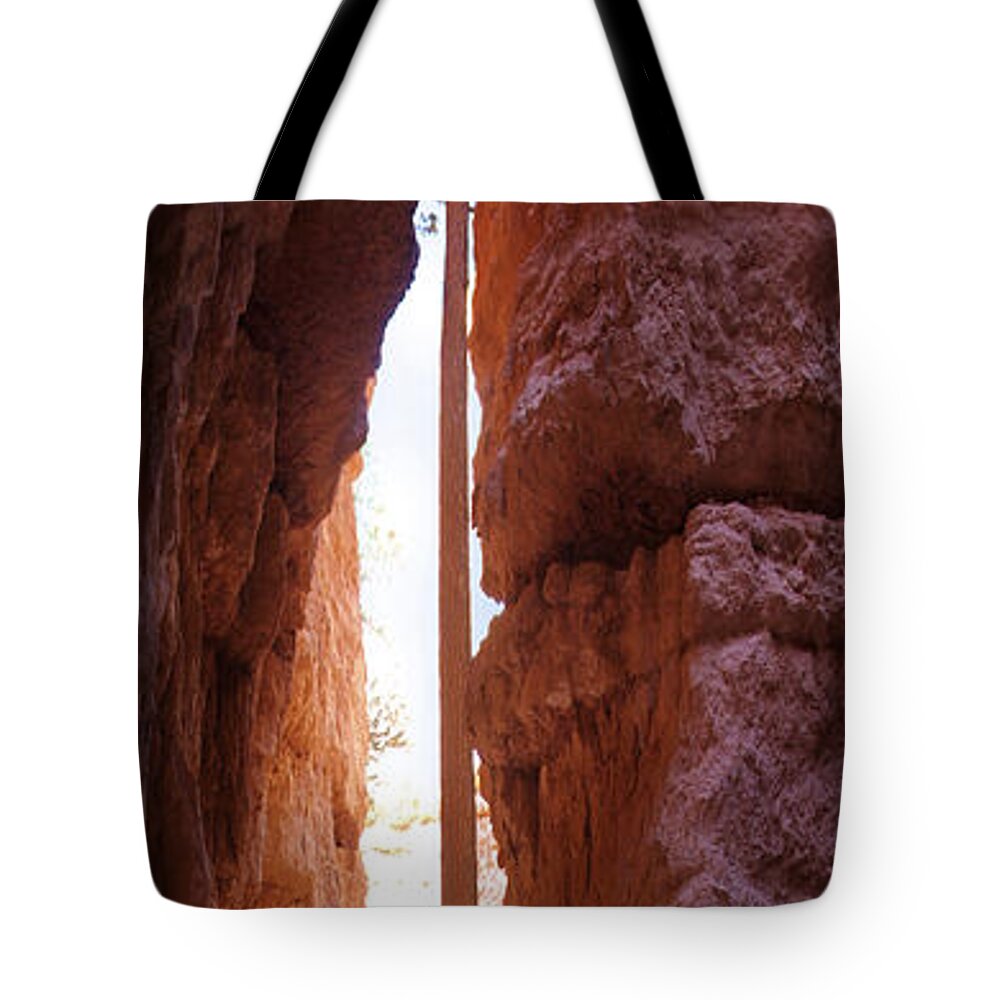 Bryce Canyon Tote Bag featuring the photograph Bryce Canyon from the Bottom Panoramic by Mike McGlothlen