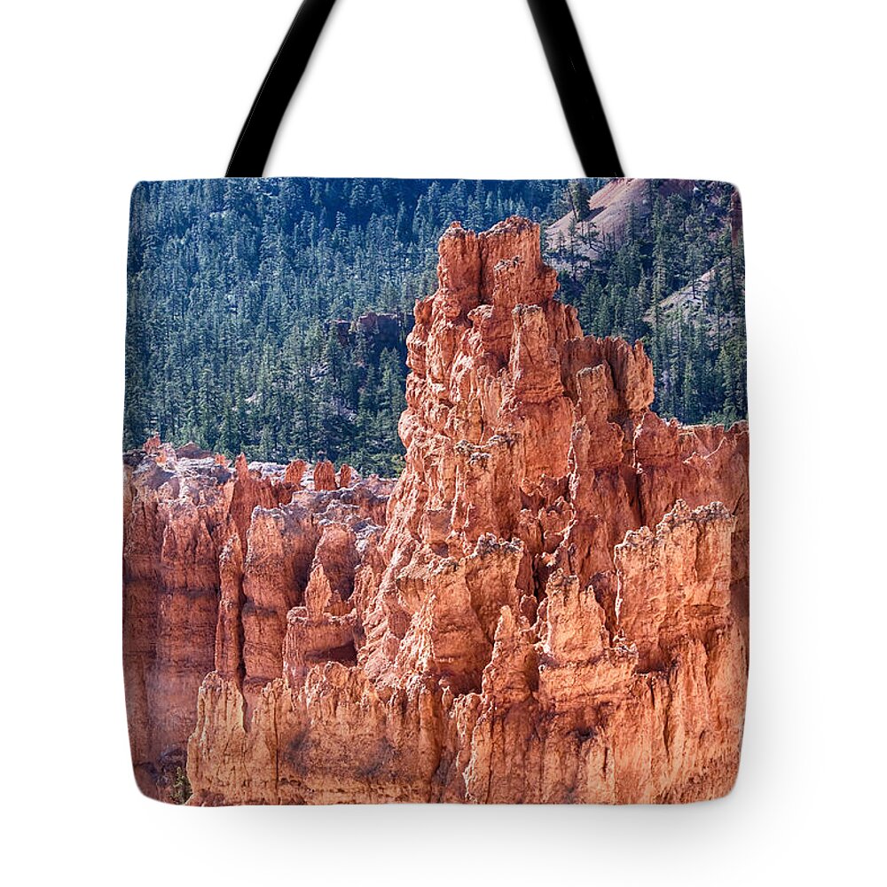 Bryce Canyon Tote Bag featuring the photograph Bryce Canyon Utah Views 524 by James BO Insogna
