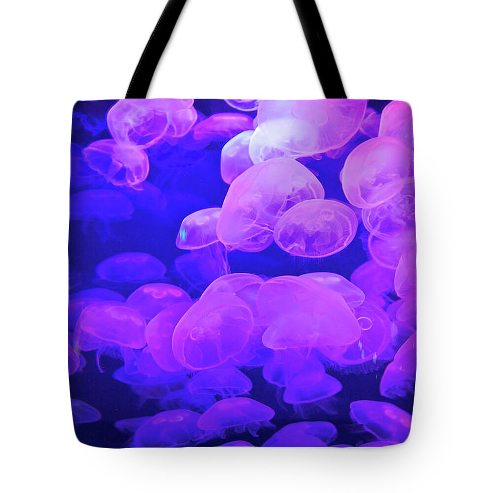 Underwater Tote Bag featuring the photograph Bubble-like Iridescent Fish by Barry Winiker