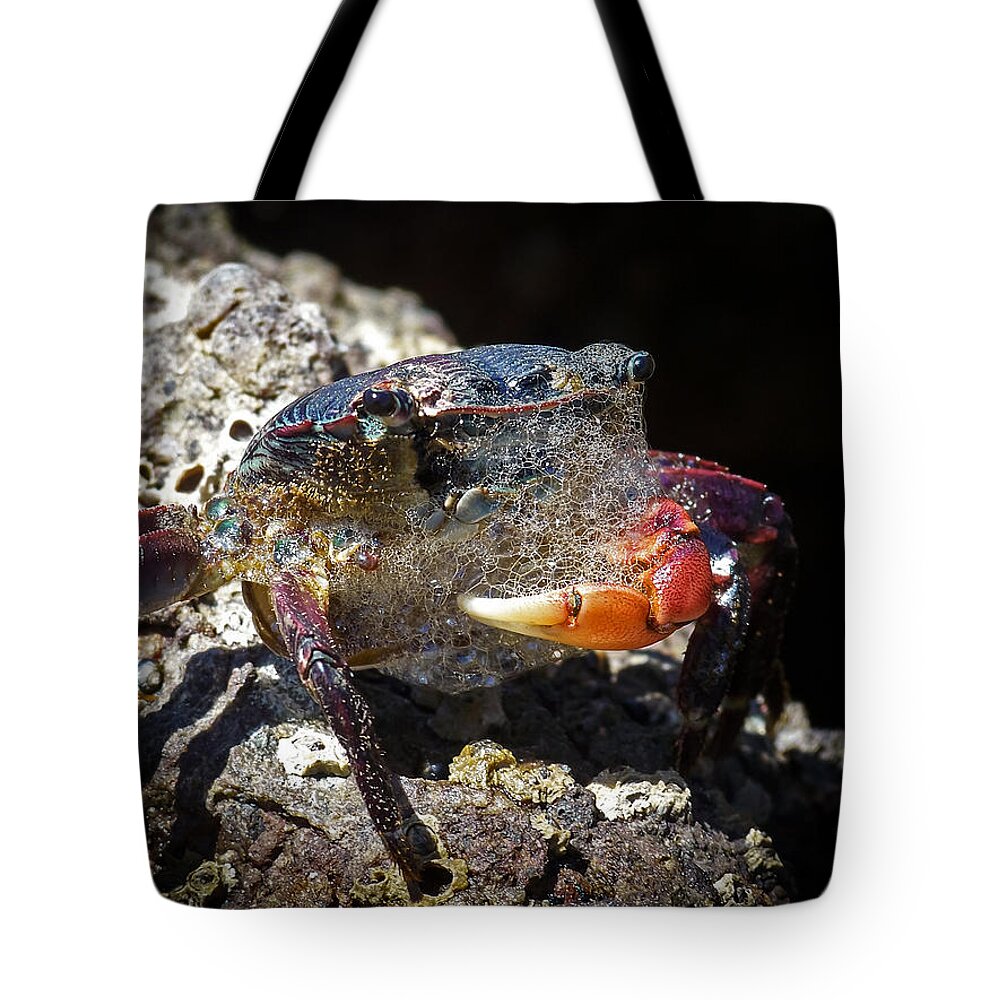 The Crab Tote Bag featuring the photograph Bubbles the Crab by Ernest Echols