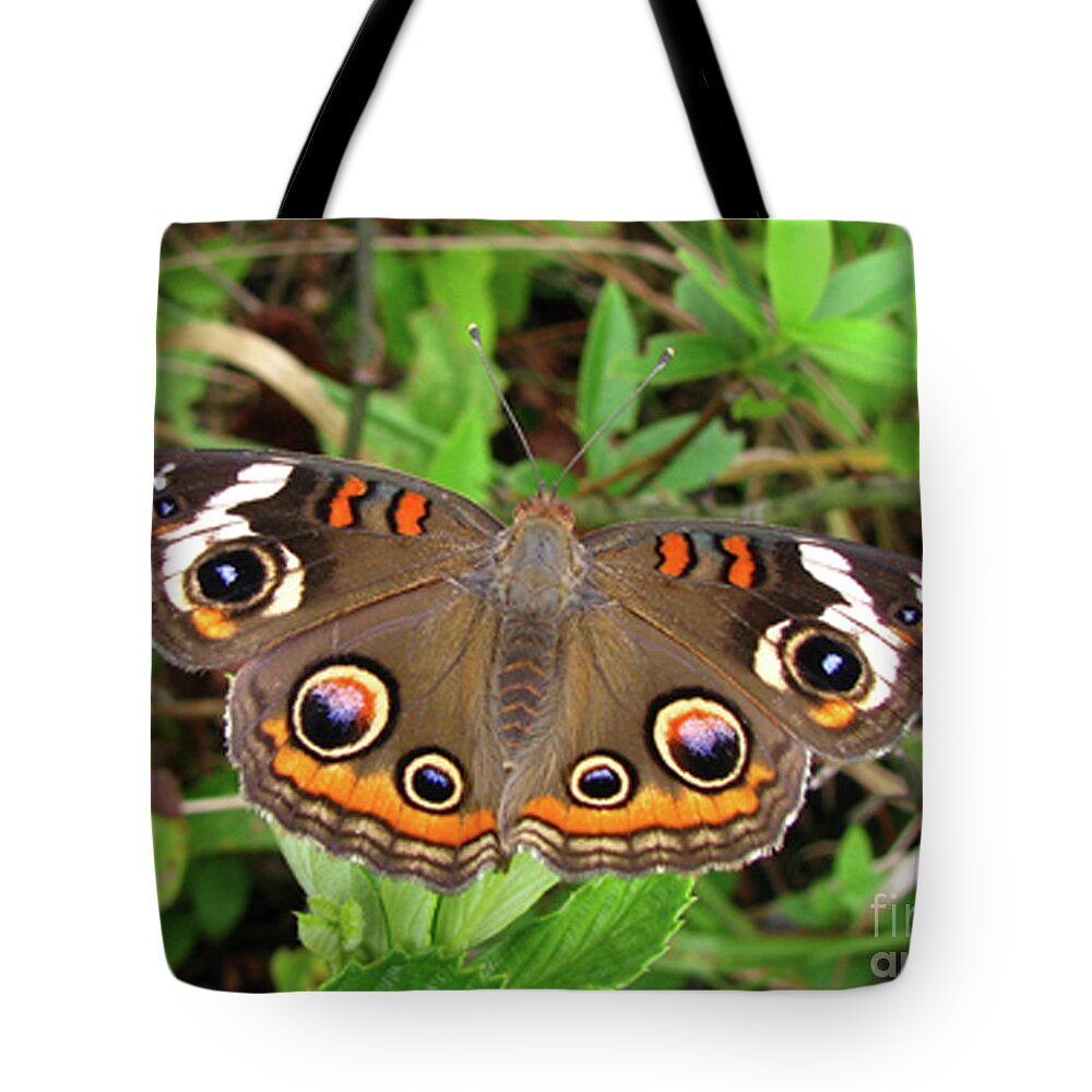 Butterfly Tote Bag featuring the photograph Buckeye Butterfly by Donna Brown