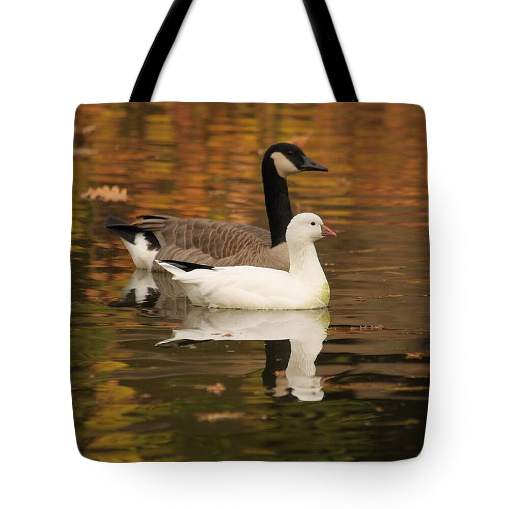 Winter Tote Bag featuring the photograph Buddies by Amy Gallagher