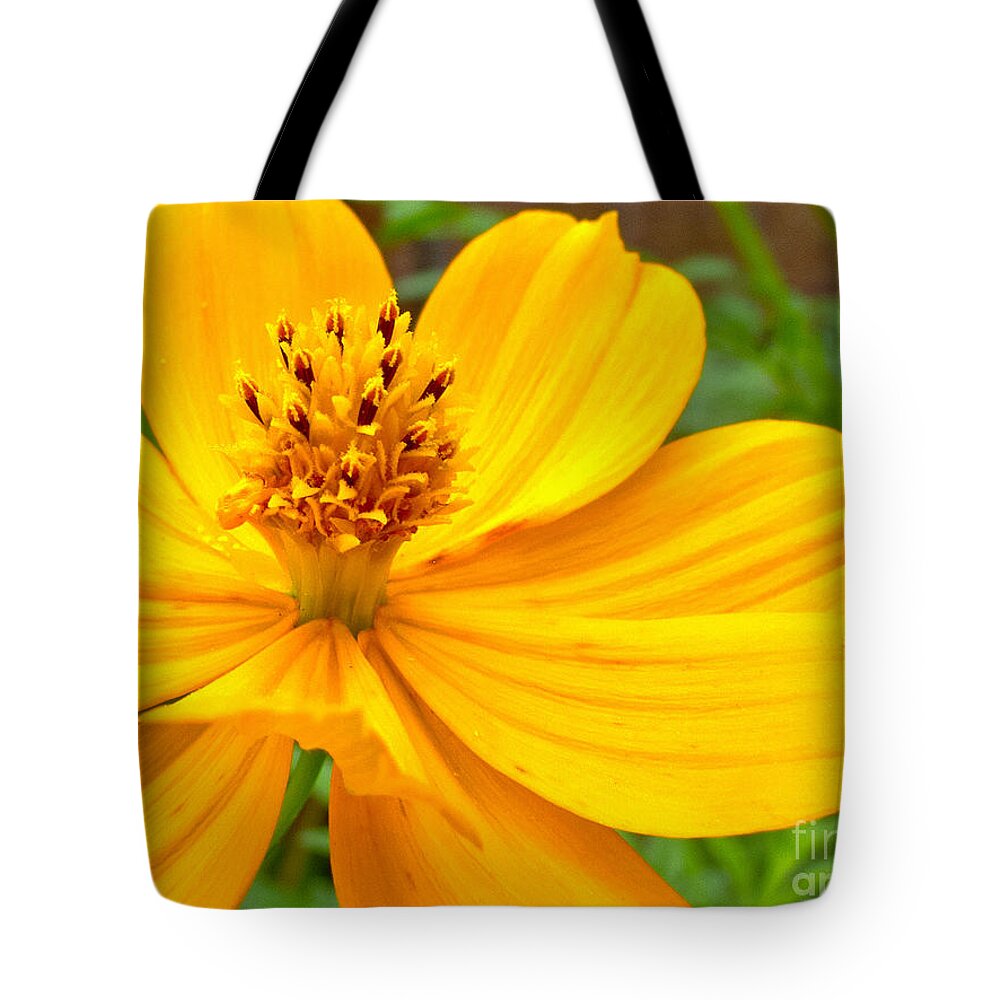 Yellow Flower Tote Bag featuring the photograph Budding Bouquet by Kelly Holm