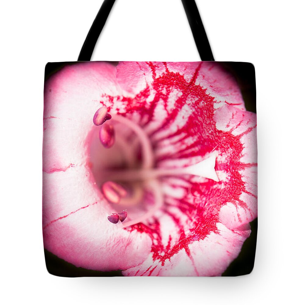 Botanical Tote Bag featuring the photograph Budding Flower by John Wadleigh