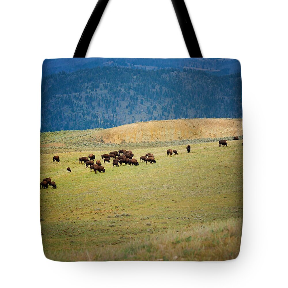 Buffalo Tote Bag featuring the photograph Buffalo Herd by Roger Mullenhour