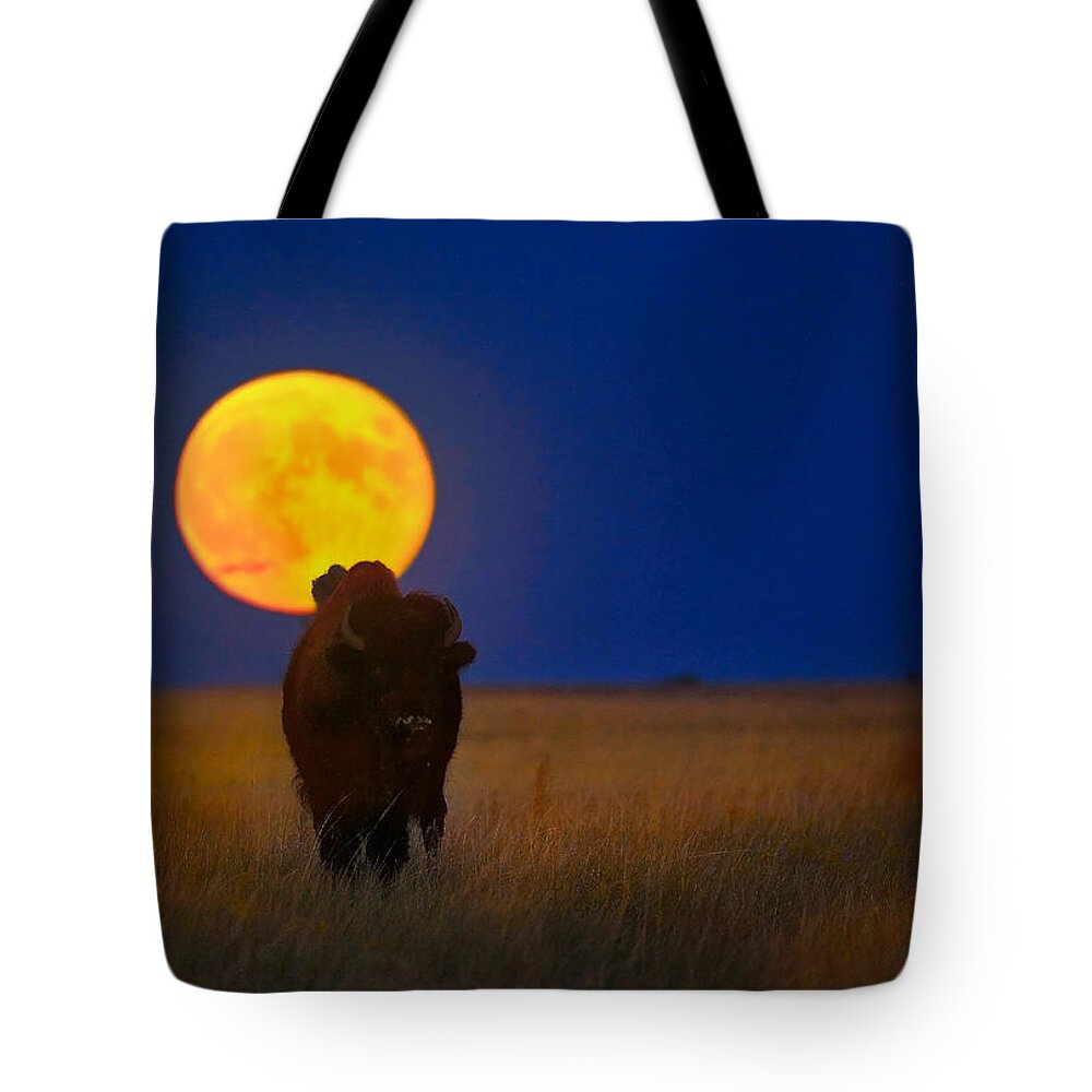 Bison Tote Bag featuring the photograph Buffalo Moon by Kadek Susanto