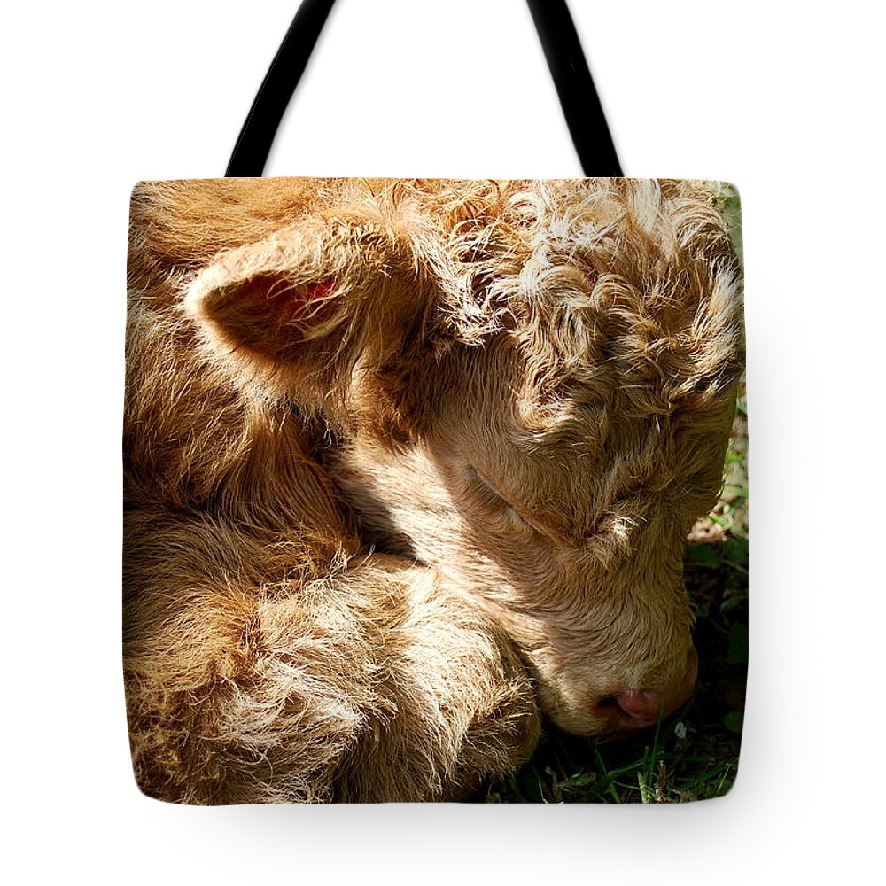 Cow Tote Bag featuring the photograph Buffie by Kathy Sampson