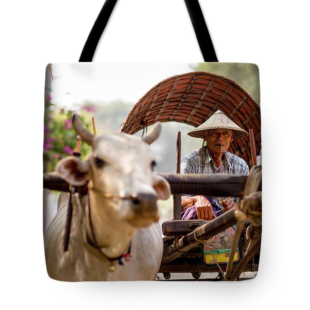 Working Animal Tote Bag featuring the photograph Bull And Cart Taxi Driver With Cigar by Merten Snijders