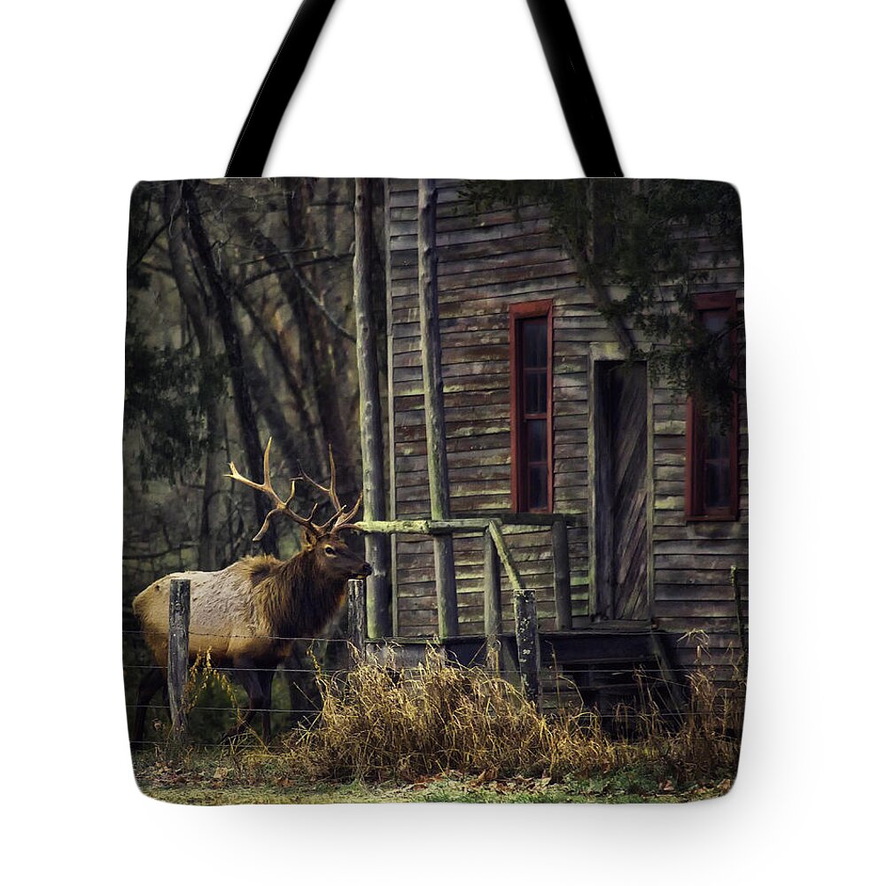 Bull Elk Tote Bag featuring the photograph Bull Elk by the Old Boxley Mill by Michael Dougherty
