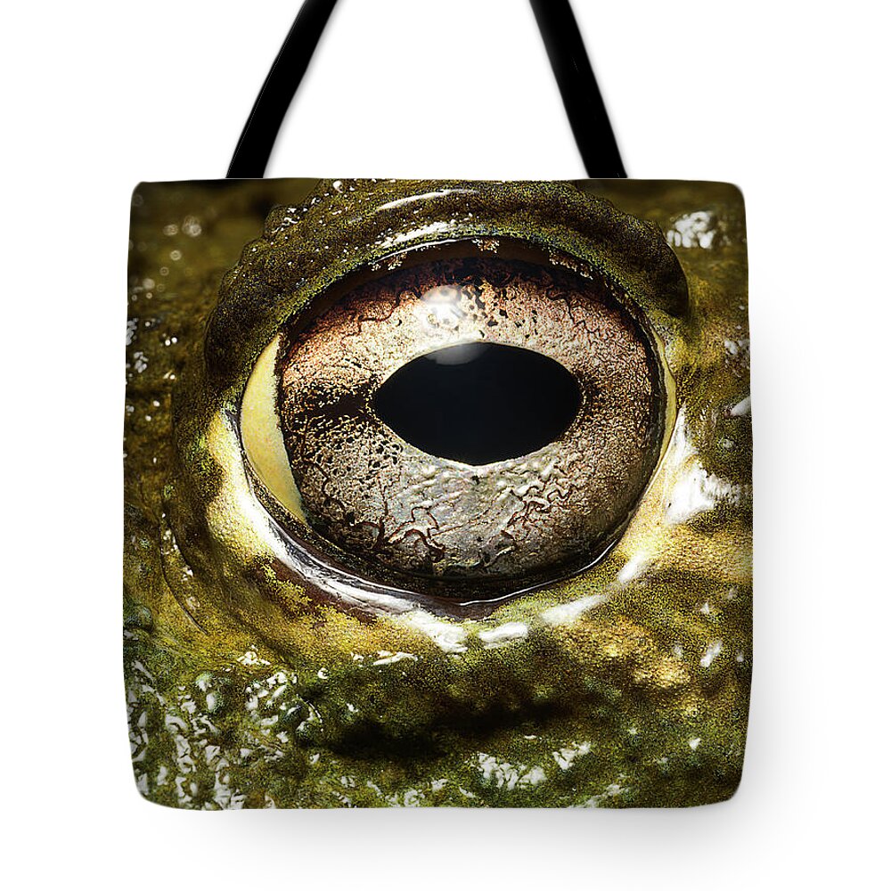 Eyesight Tote Bag featuring the photograph Bullfrogs Eye, Close Up by Jonathan Knowles