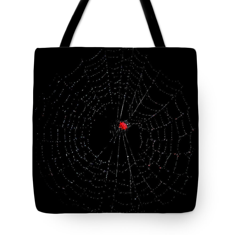 Spider Tote Bag featuring the photograph Bulls-eye by Lucy VanSwearingen
