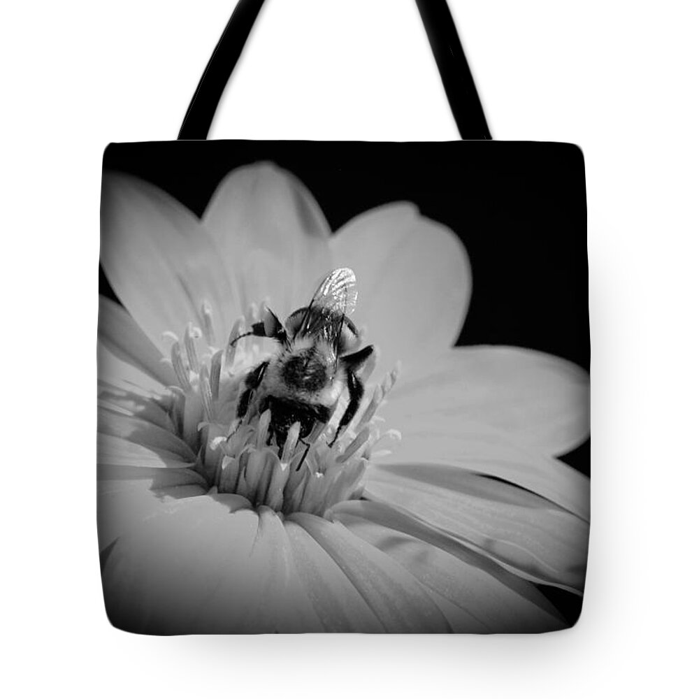 Bumblebee Tote Bag featuring the photograph Bumble bee on flower by Crystal Wightman
