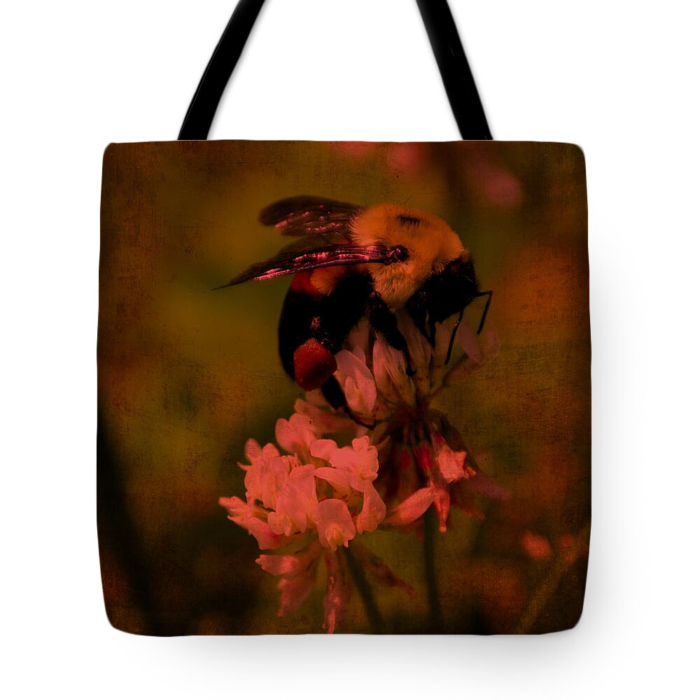 Bumble Bee Tote Bag featuring the photograph Bumble Bee Serenade Nbr 2 by Lesa Fine