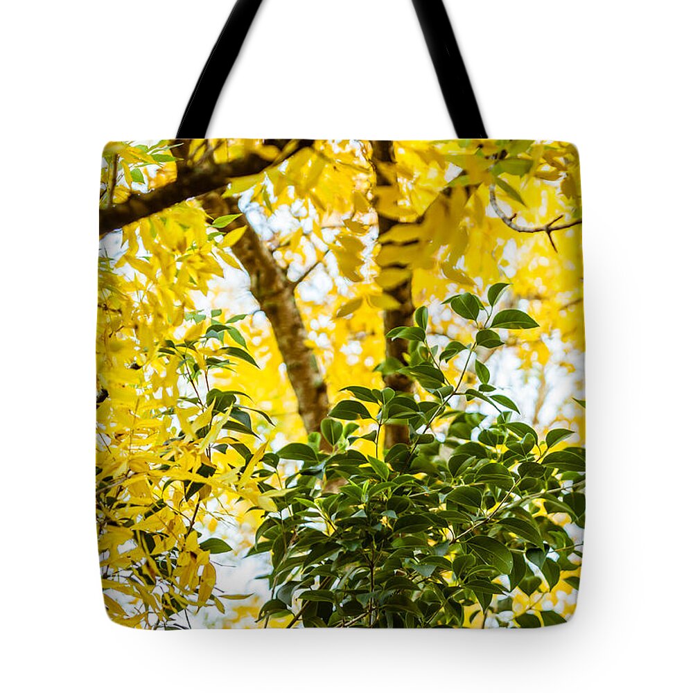 2014 Tote Bag featuring the photograph Bunch of Green by Melinda Ledsome
