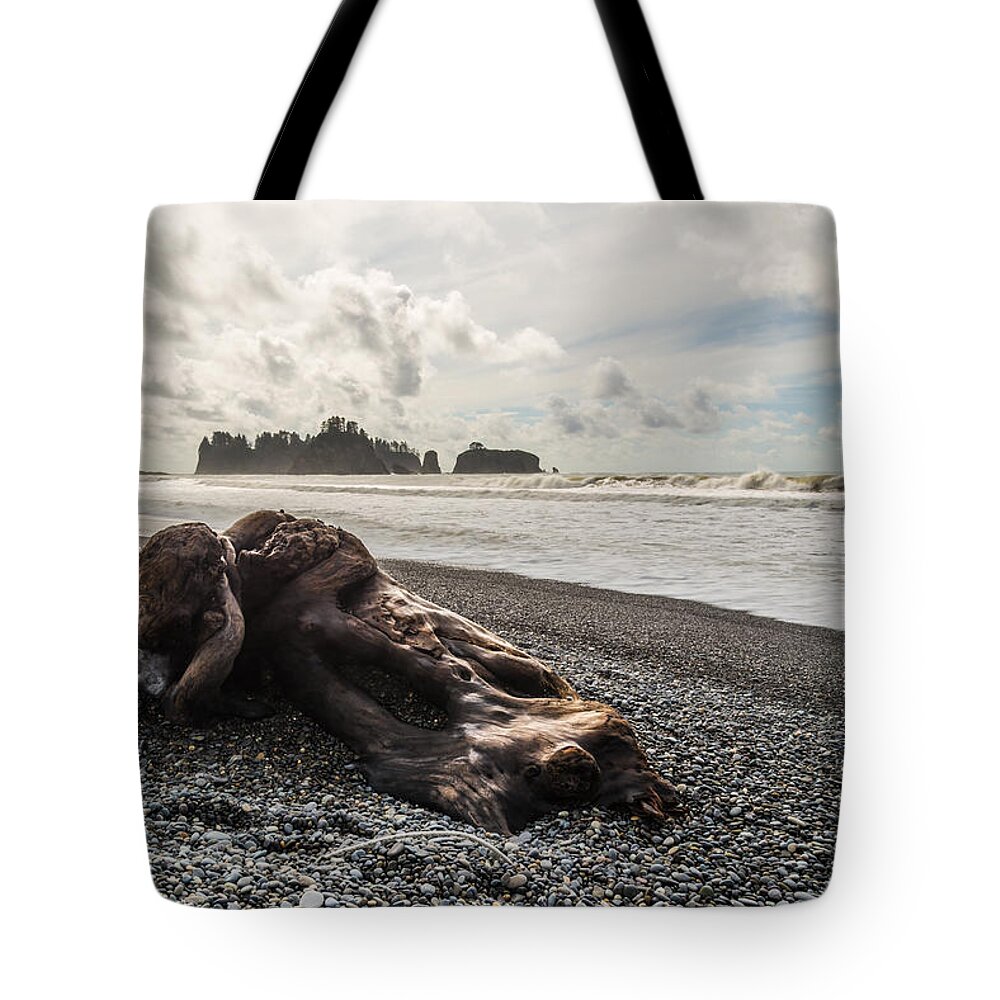 Olympic National Park Tote Bag featuring the photograph Buried by Kristopher Schoenleber