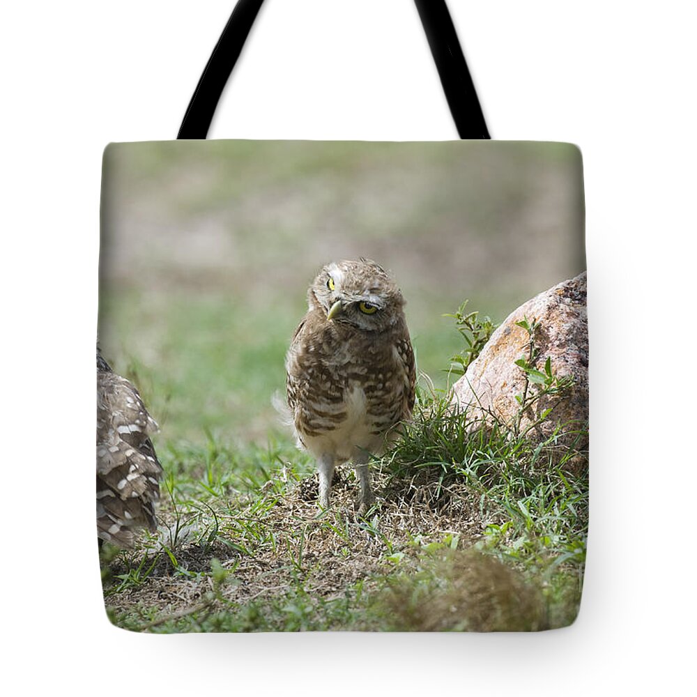 Nature Tote Bag featuring the photograph Burrowing Owls In Uruguay by William H. Mullins