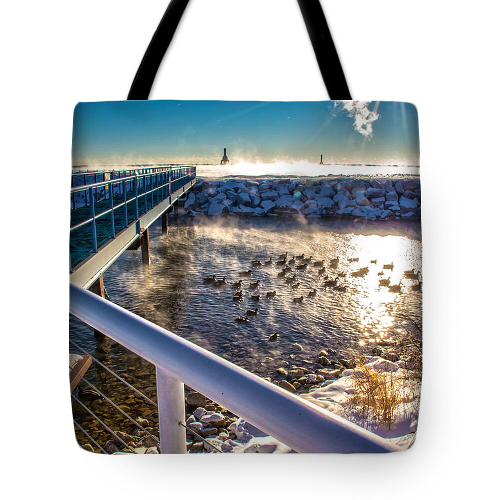 Sunburst Tote Bag featuring the photograph Burst of Life by James Meyer