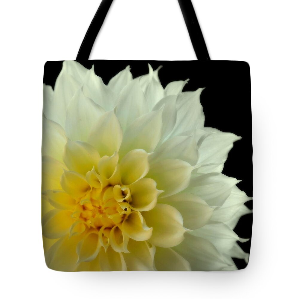 Dahlias Tote Bag featuring the photograph BURST of LIFE by Karen Wiles