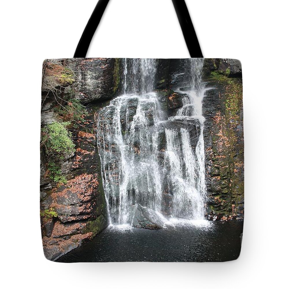 Bushkill Falls Tote Bag featuring the photograph Bushkill Falls by John Telfer