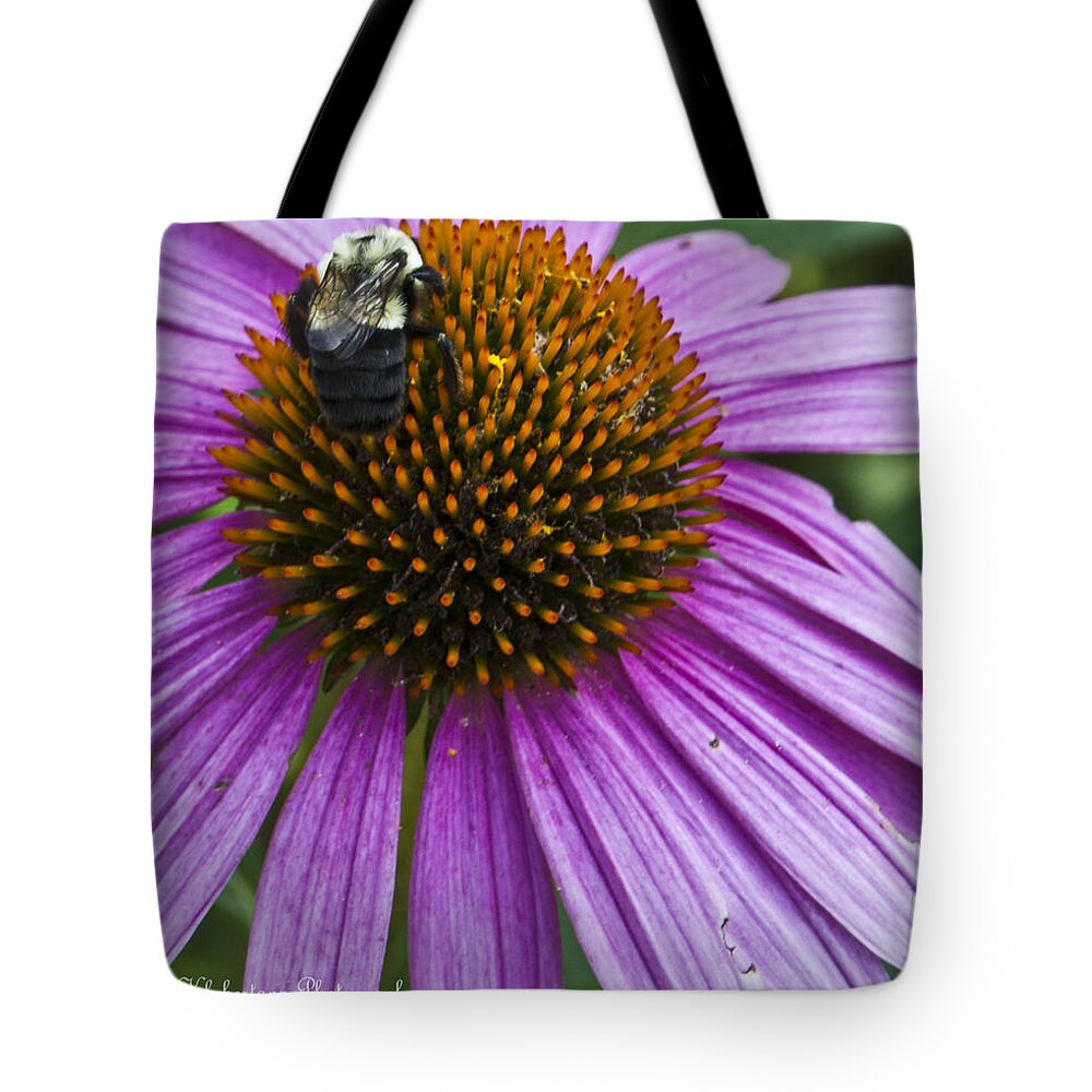 Medicinal Tote Bag featuring the photograph Busy Bee by Deborah Klubertanz