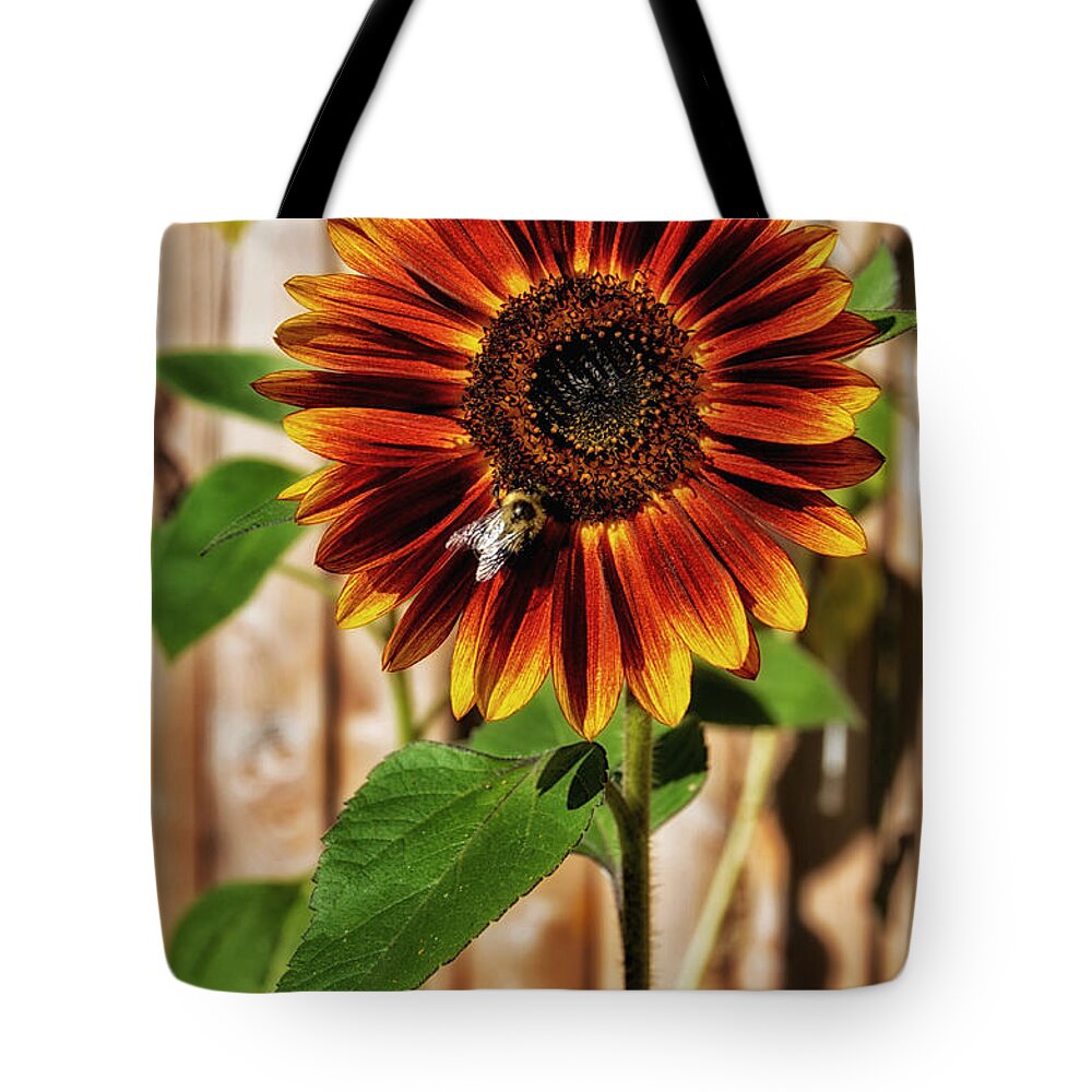 Sunflower Tote Bag featuring the photograph Busy Bee by Tricia Marchlik