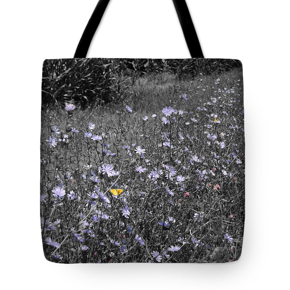 Unique Tote Bag featuring the photograph Butterflies on Chicory by Dylan Punke