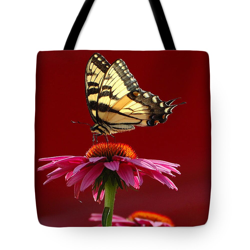 Yellow Butterfly Tote Bag featuring the photograph Butterfly 2 2013 by Edward Sobuta