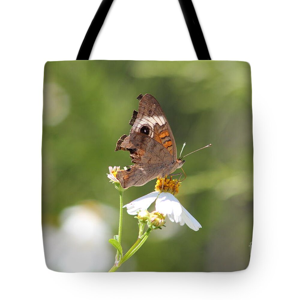 Butterfly Tote Bag featuring the photograph Butterfly 4 by Michelle Powell