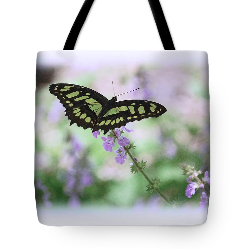 White Tote Bag featuring the photograph Butterfly 8 by Leticia Latocki
