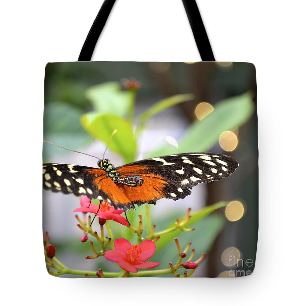 Butterfly Tote Bag featuring the photograph Butterfly Beauty by Carla Carson