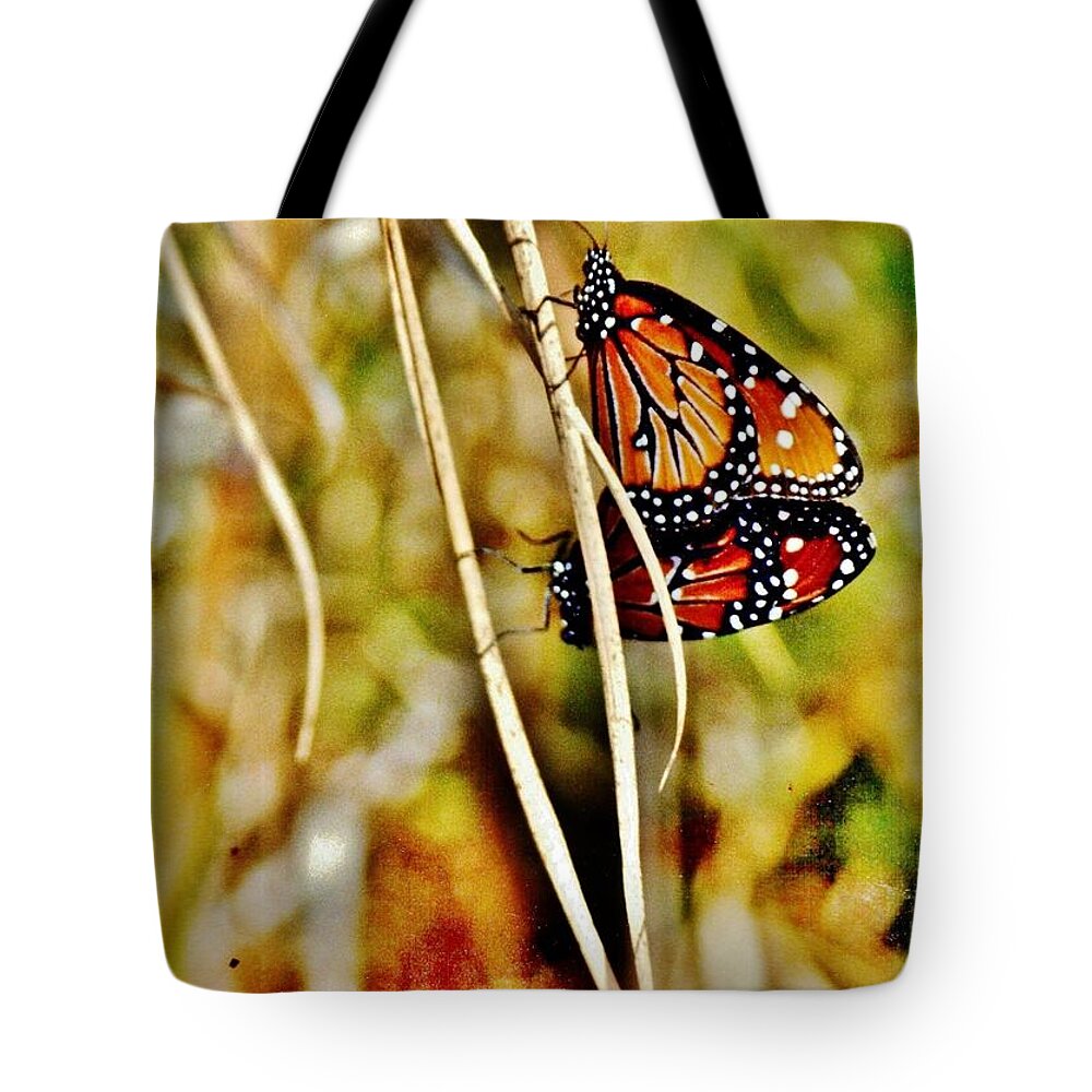 Butterflies Tote Bag featuring the photograph Butterfly Duo by VLee Watson