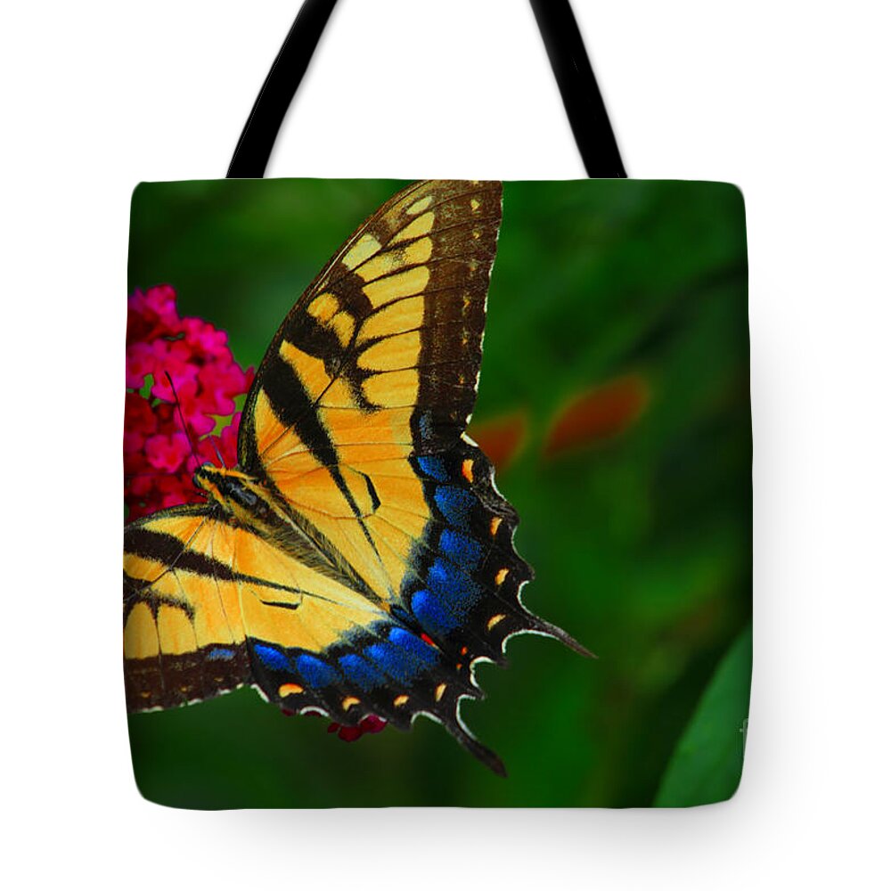 Butterfly Tote Bag featuring the photograph Butterfly by Geraldine DeBoer