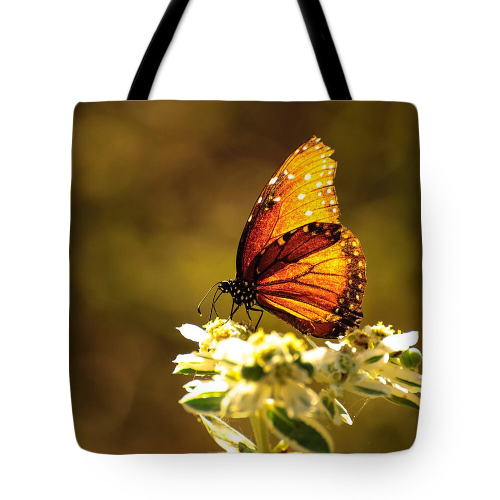 Butterfly Tote Bag featuring the photograph Butterfly in sun by John Johnson