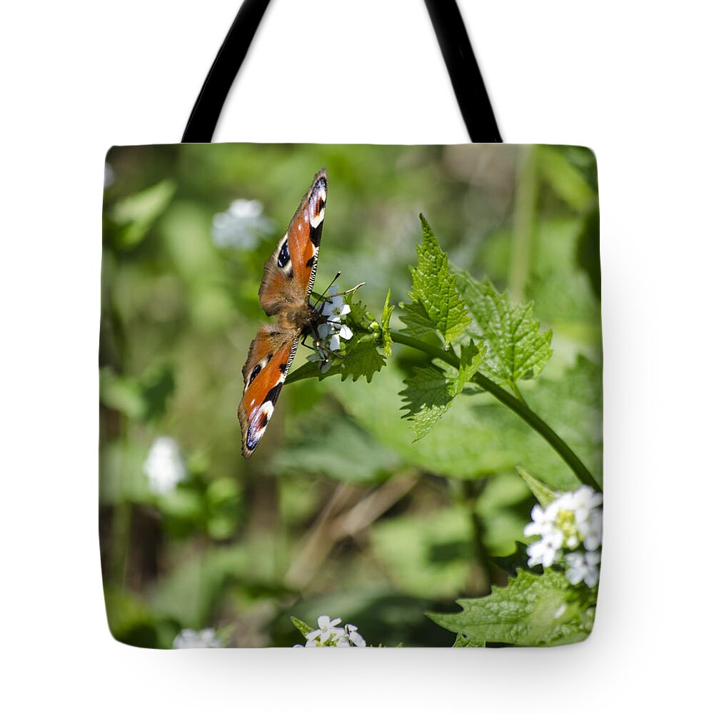 Butterfly Tote Bag featuring the photograph Butterfly by Spikey Mouse Photography